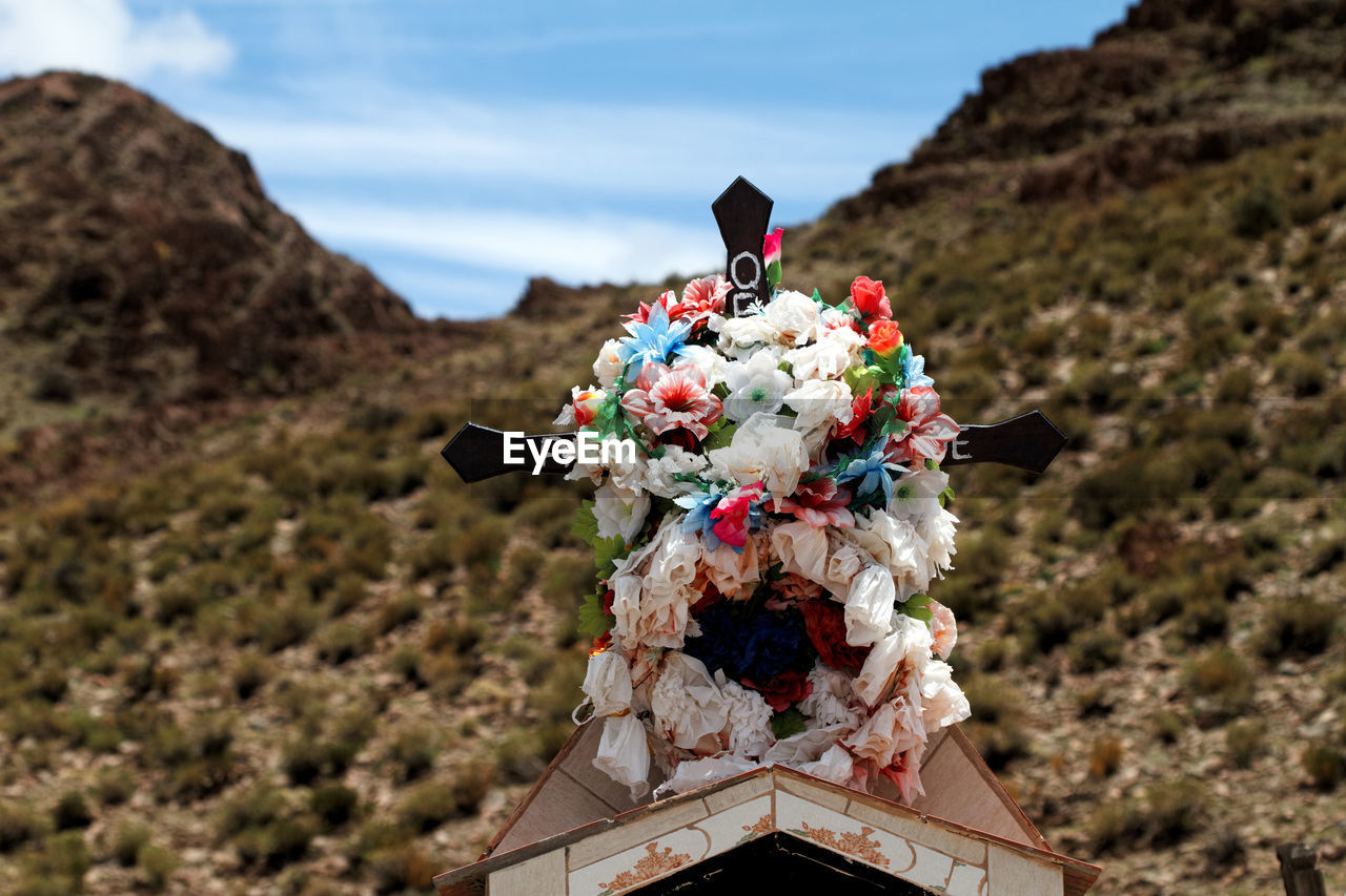 Statue of flowers against mountain