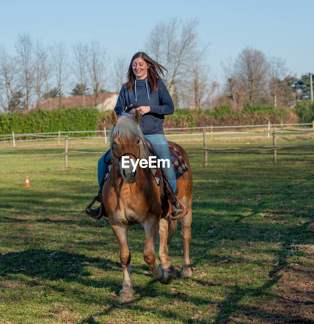 Portrait of man riding horse on field