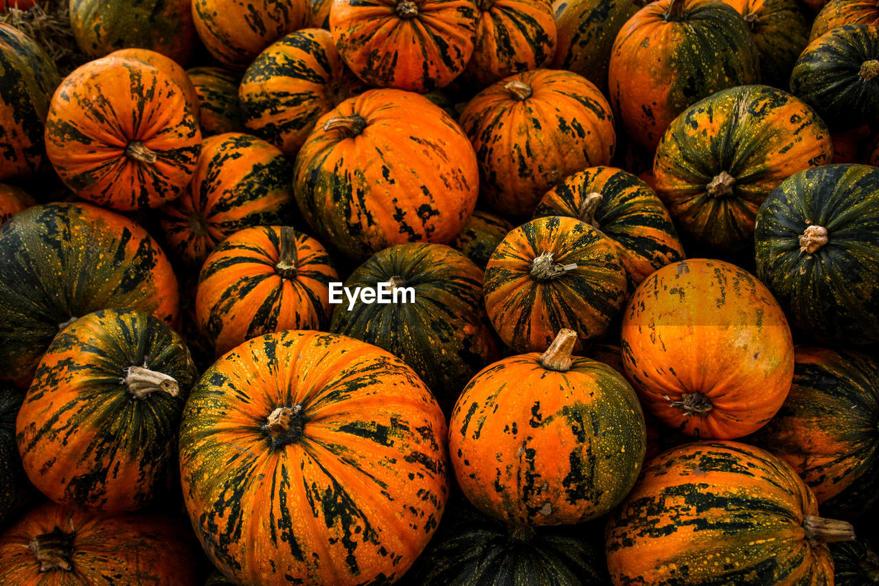 Full frame shot of pumpkins