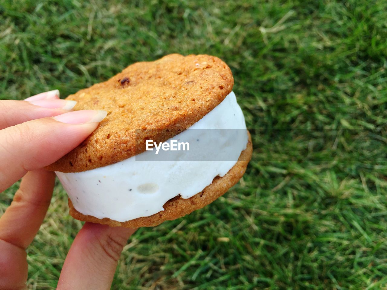 Cropped hand of woman holding ice cream sandwich on field