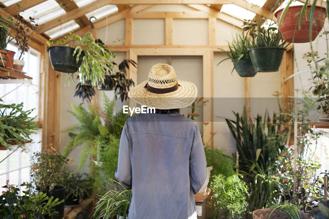 Rear view of female farm worker standing in greenhouse