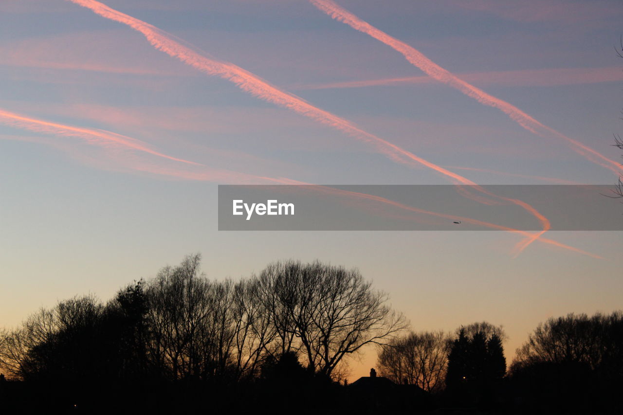 LOW ANGLE VIEW OF SILHOUETTE TREES AGAINST SKY