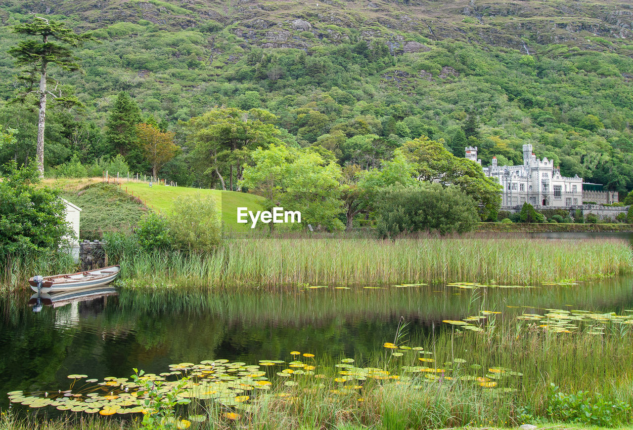 SCENIC VIEW OF LAKE BY TREES AGAINST BUILDING