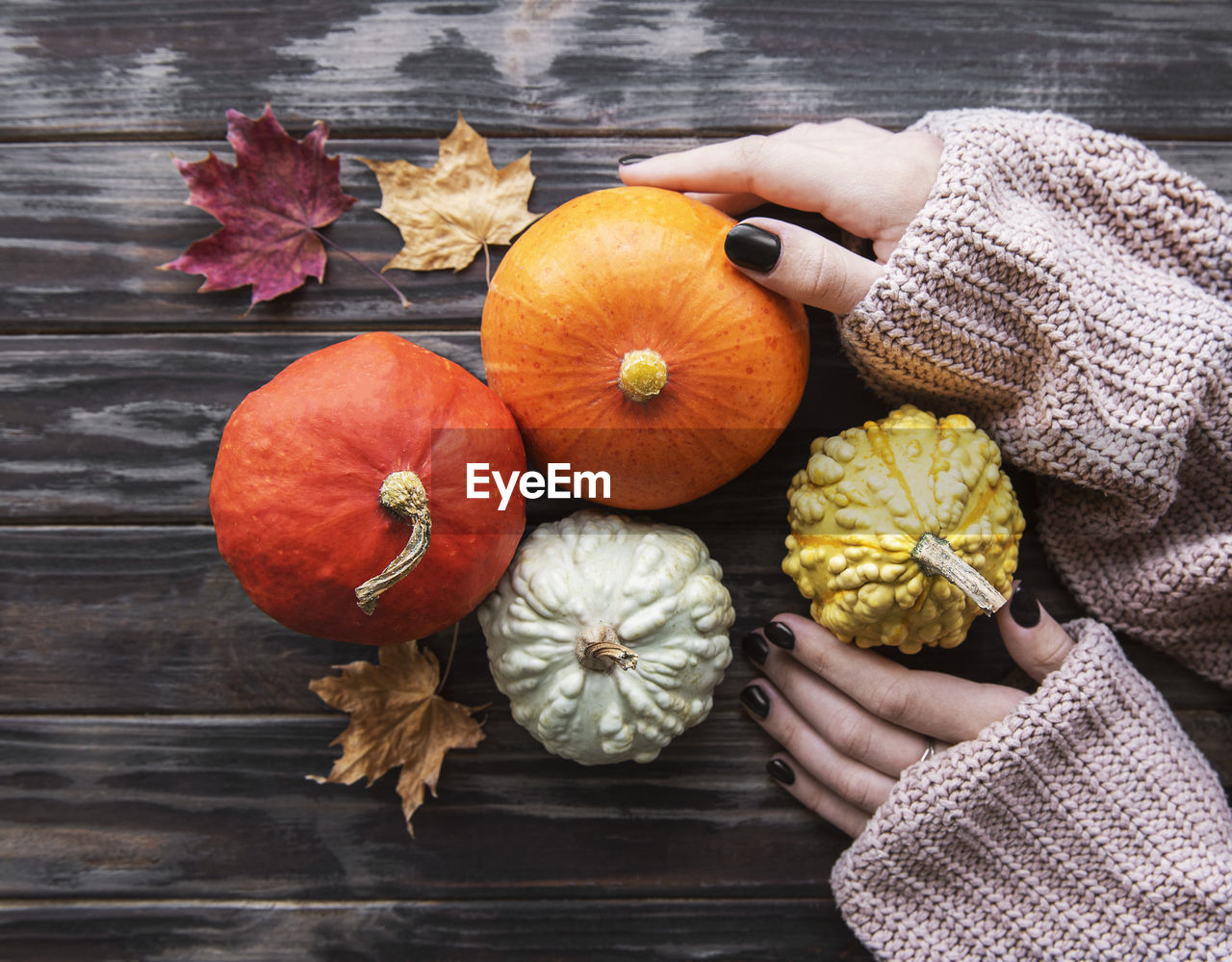 Female hands holding autumn pumpkins. old wooden background