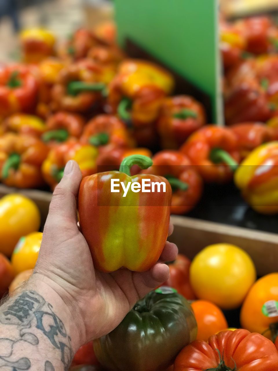 CLOSE-UP OF HAND ON FRUIT