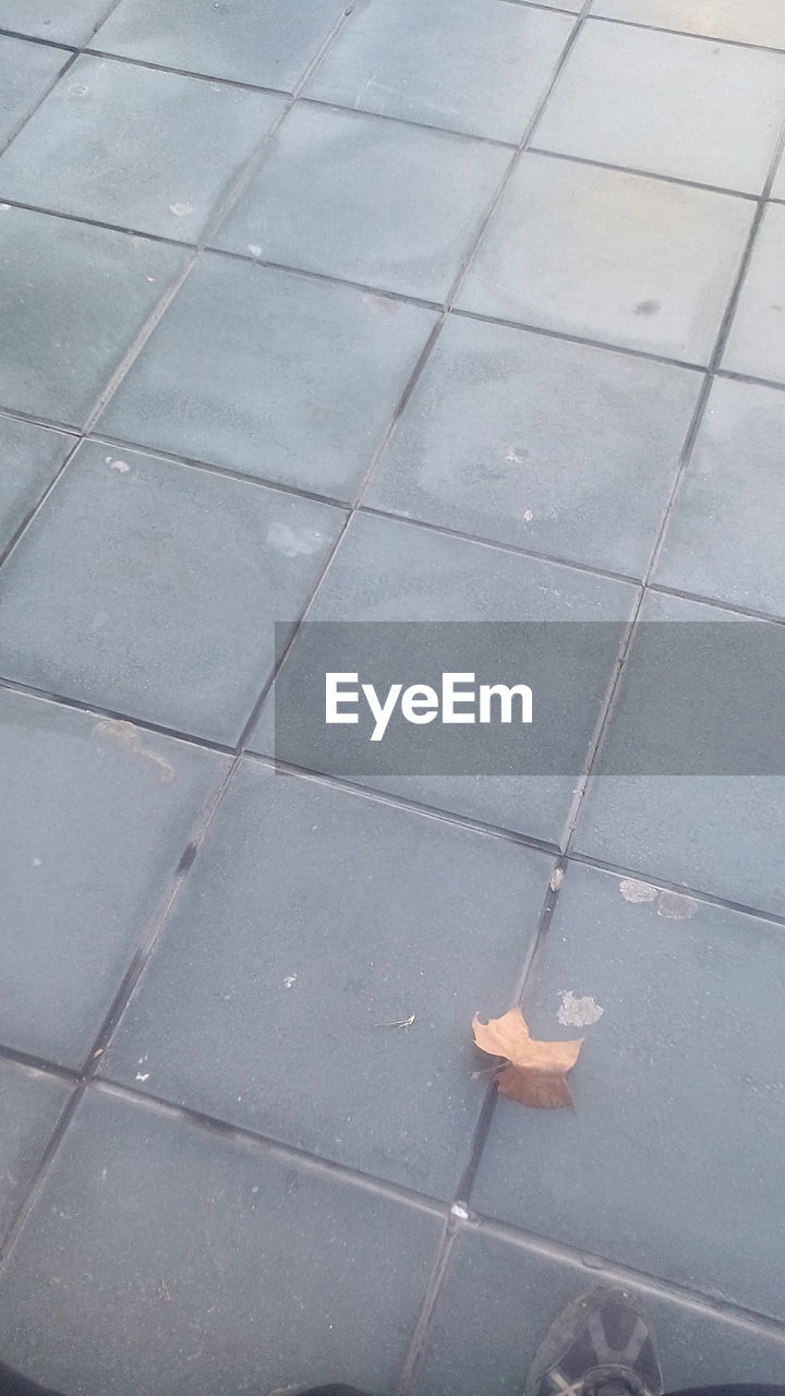 FULL FRAME SHOT OF PAVING STONES