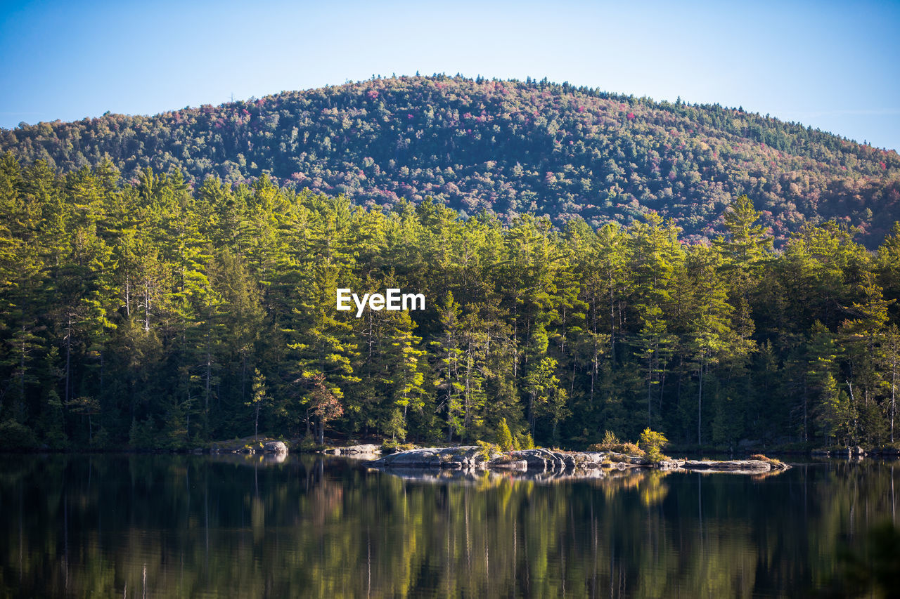 Scenic view of lake by trees against sky