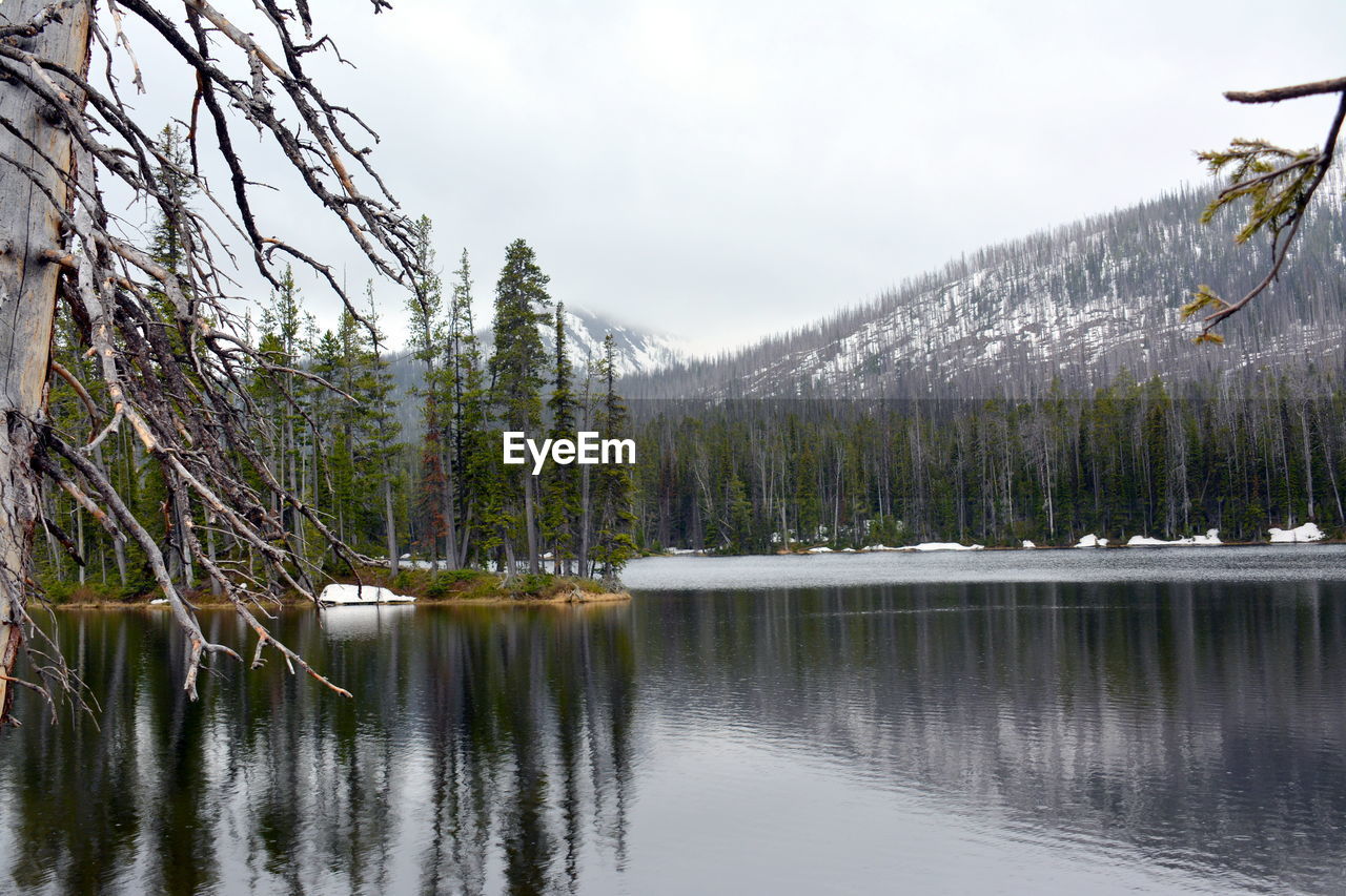 SCENIC VIEW OF LAKE BY TREE MOUNTAINS AGAINST SKY