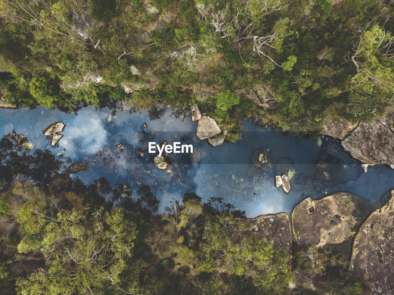 High angle view of rocks by trees in lake