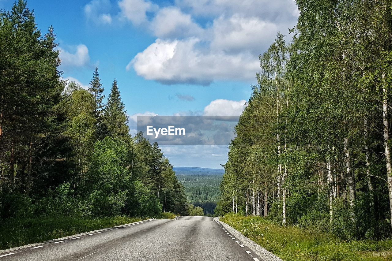 Scandinavian forest road in dalarna