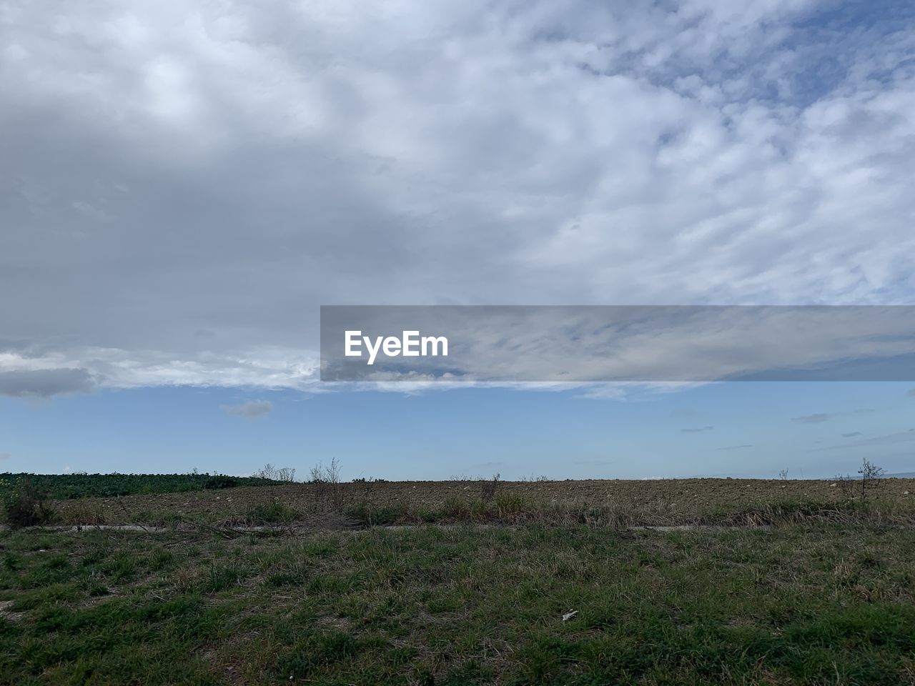 SCENIC VIEW OF GRASSY FIELD AGAINST SKY