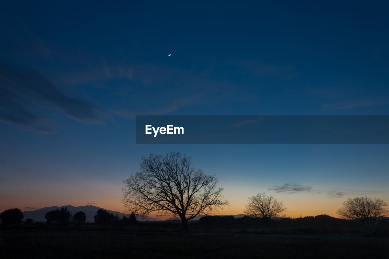 SILHOUETTE TREE AGAINST SKY AT SUNSET