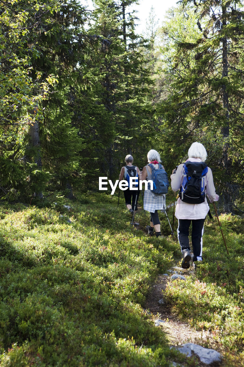 Senior women hiking