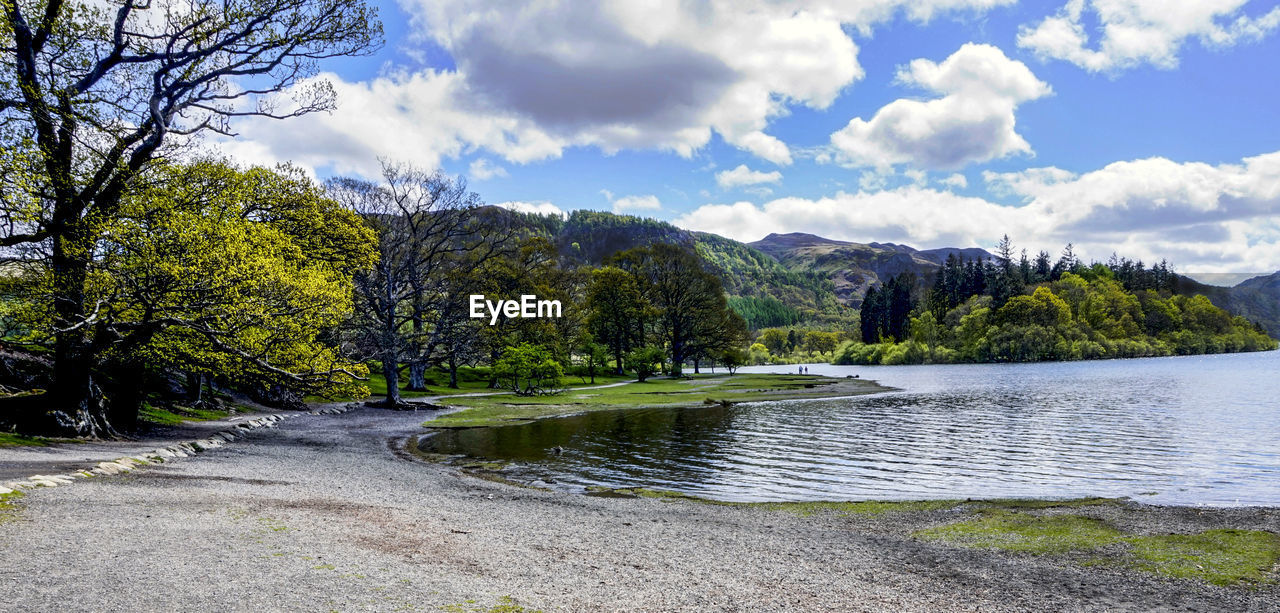 SCENIC VIEW OF LAKE AND TREES AGAINST SKY