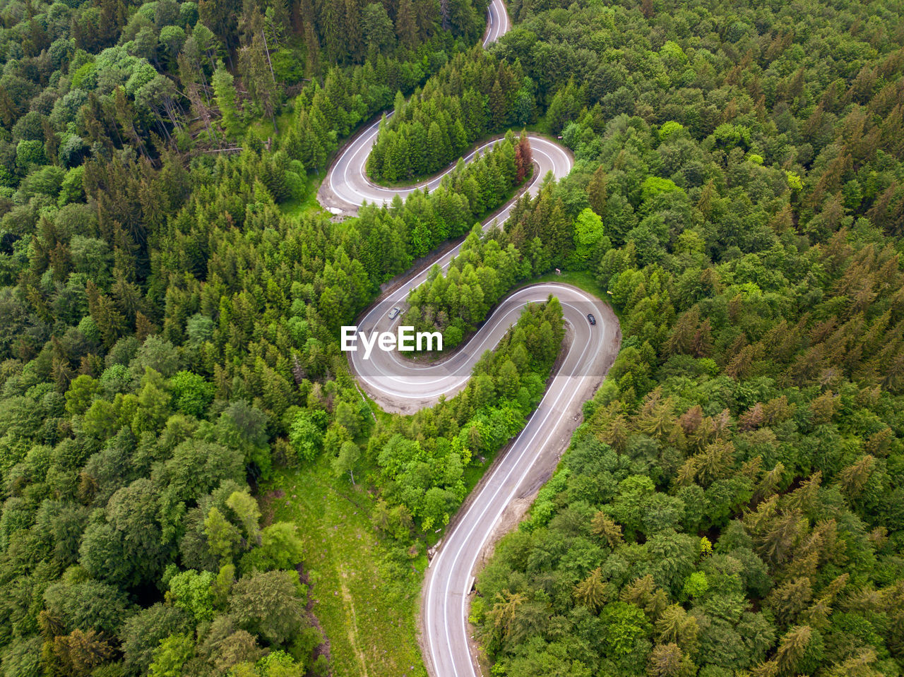 Aerial view of winding road in high mountain pass trough dense green pine woods.