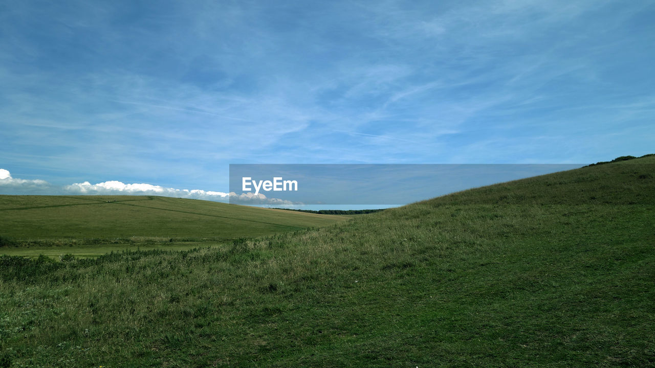 SCENIC VIEW OF GRASSY FIELD AGAINST SKY