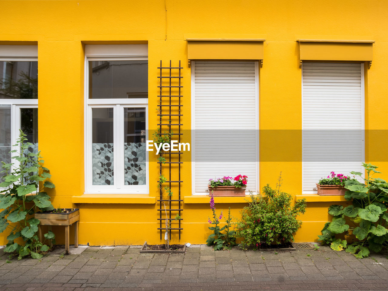 Plants on sidewalk against yellow building