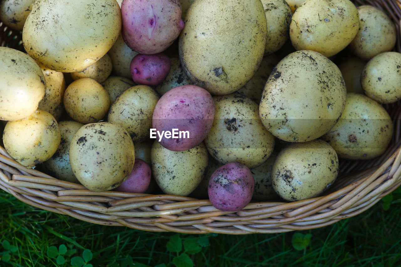 Close-up of potatoes in wicker basket