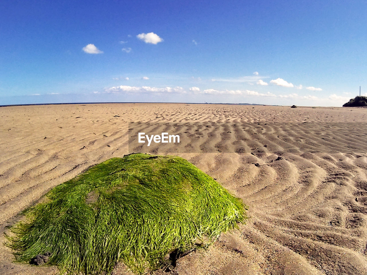 SCENIC VIEW OF SAND DUNES AT BEACH AGAINST SKY