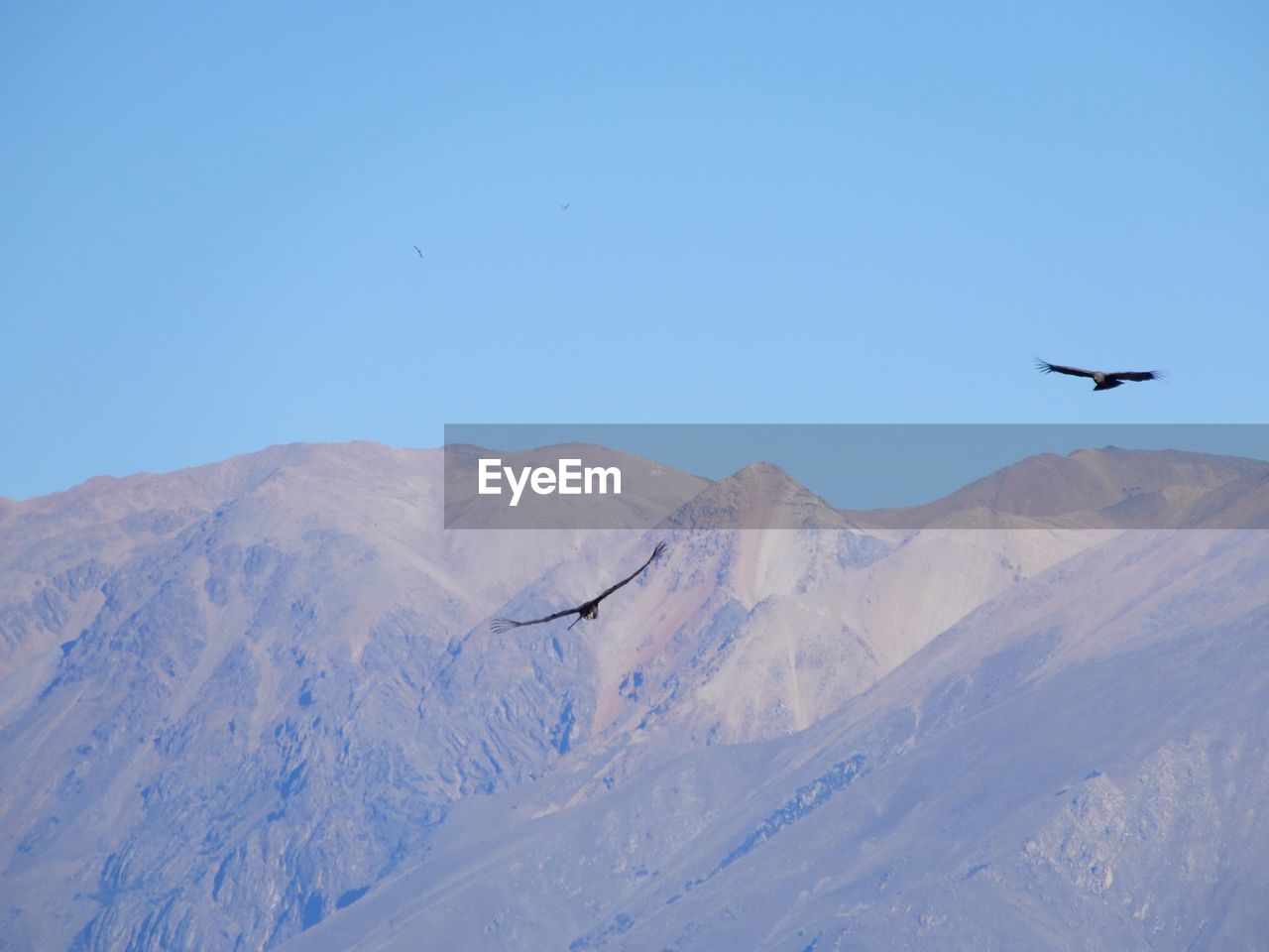 BIRD FLYING ABOVE MOUNTAIN RANGE AGAINST BLUE SKY