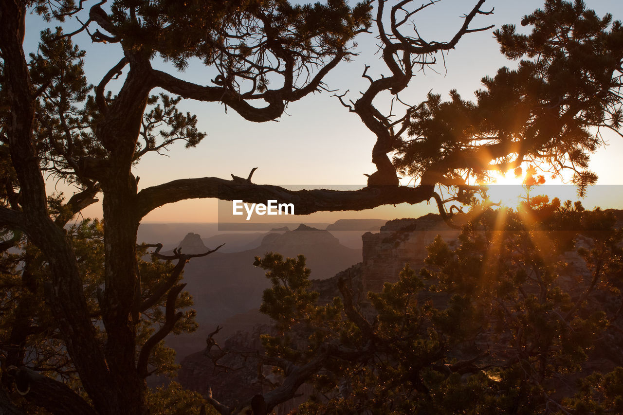 Scenic view of grand canyon national park during sunset