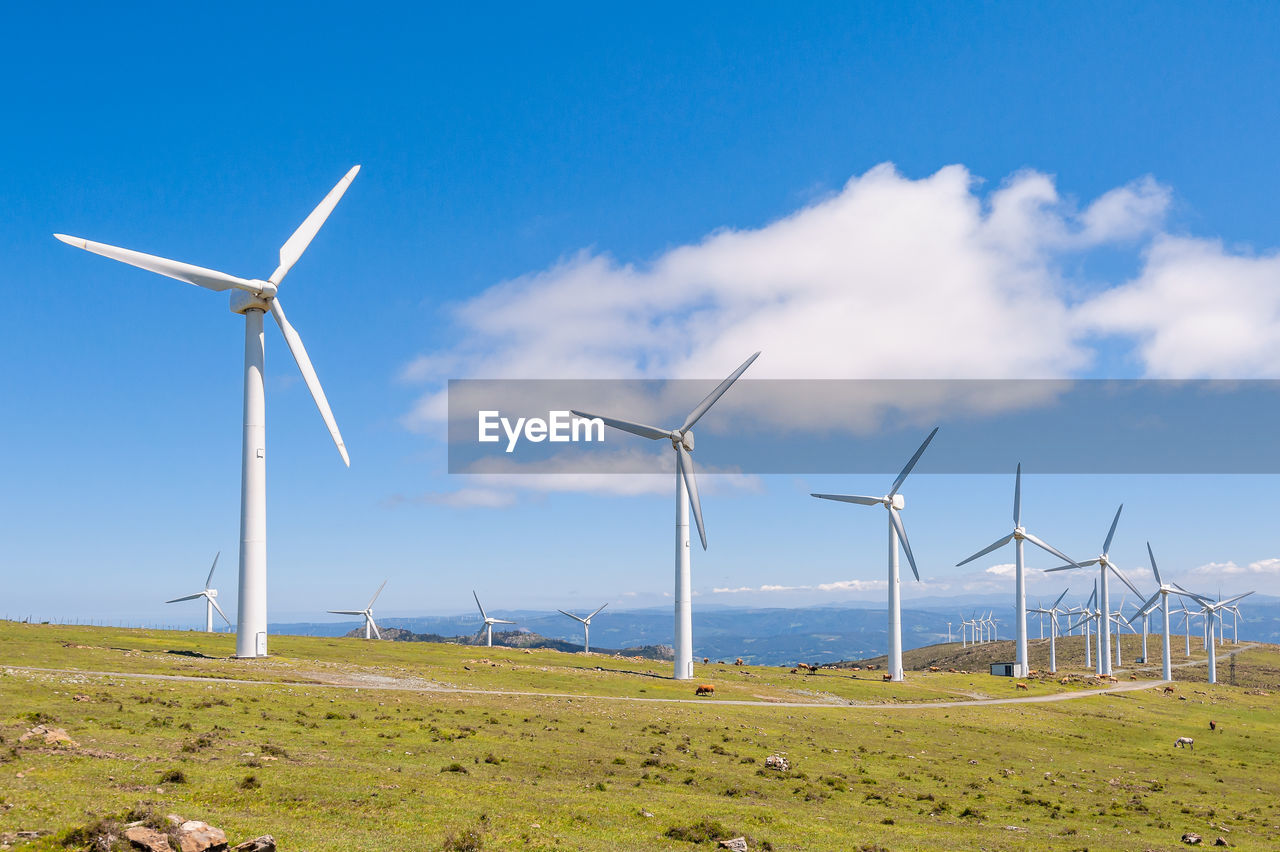 WIND TURBINES ON FIELD