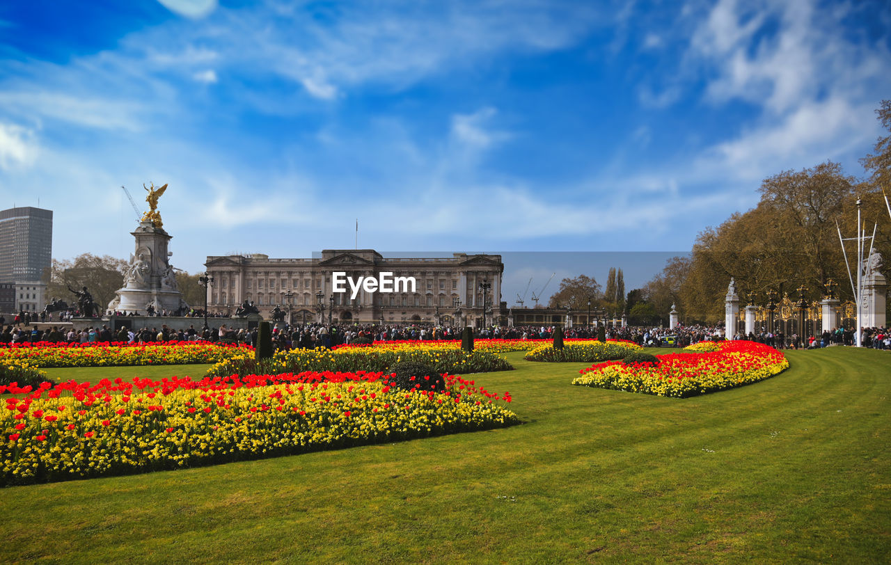 FLOWERS GROWING IN GARDEN