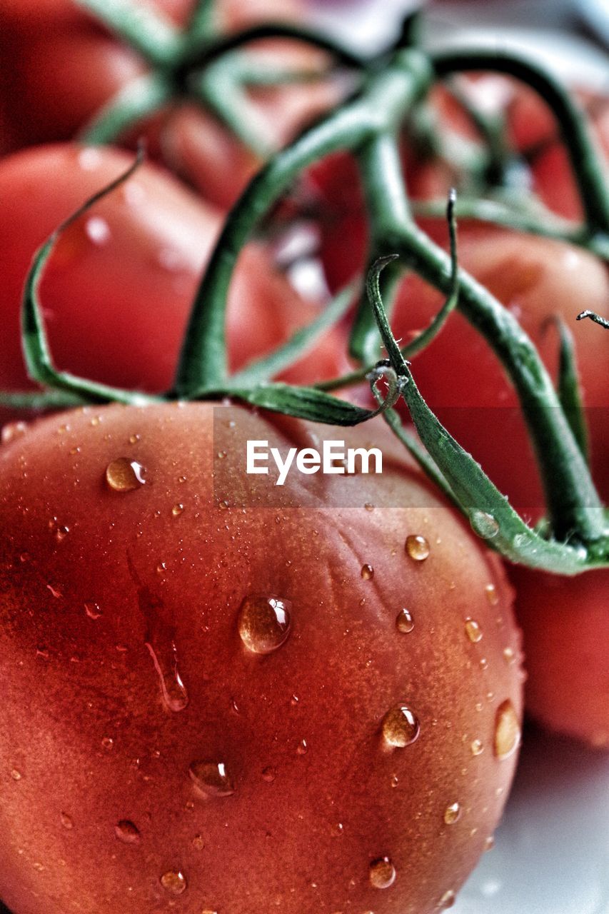 Close-up of water drops on fresh tomatoes