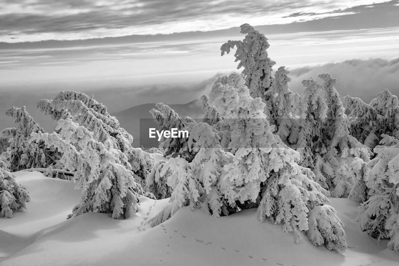 Scenic view of snow covered landscape against sky