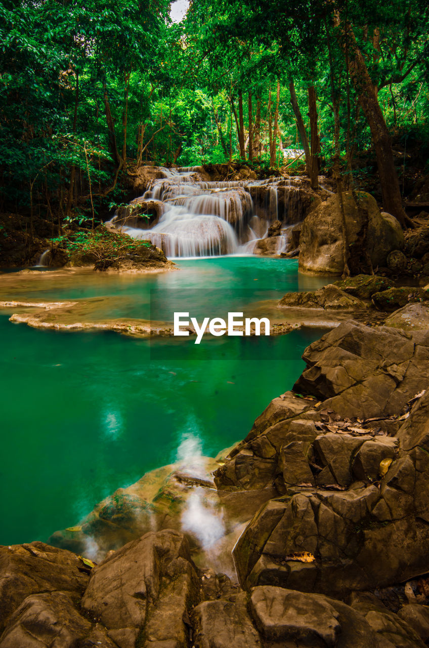 Scenic view of waterfall in forest