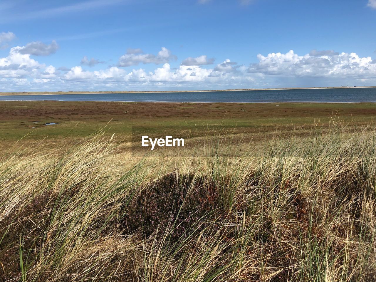 SCENIC VIEW OF SANDY BEACH AGAINST SKY