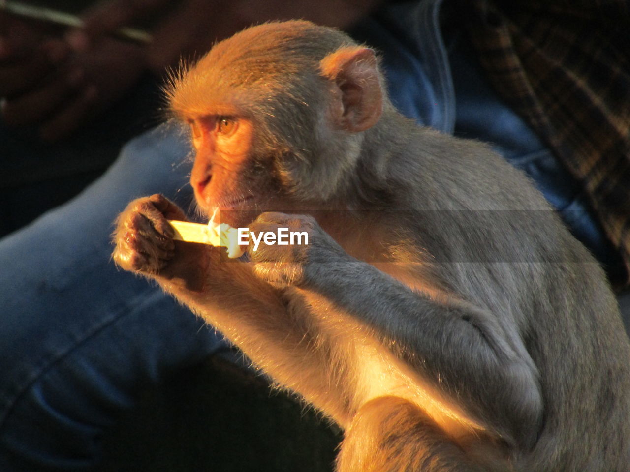 YOUNG MAN EATING FOOD ON TABLE OUTDOORS