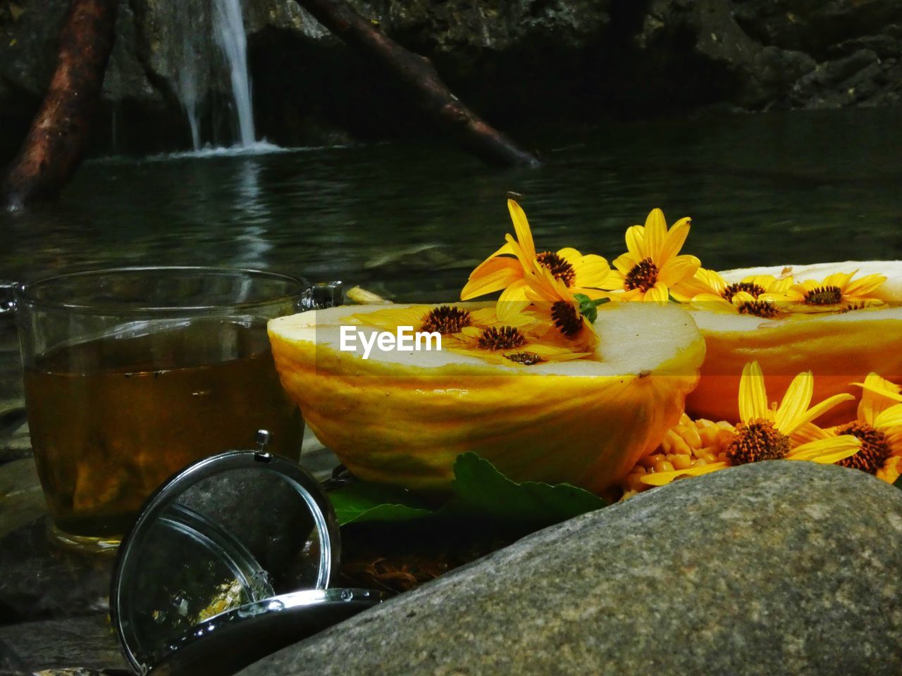 CLOSE-UP OF YELLOW WATER LILY