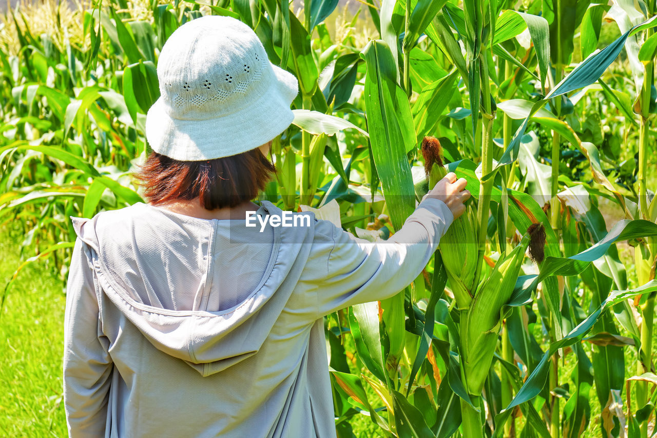 REAR VIEW OF WOMAN STANDING IN VINEYARD