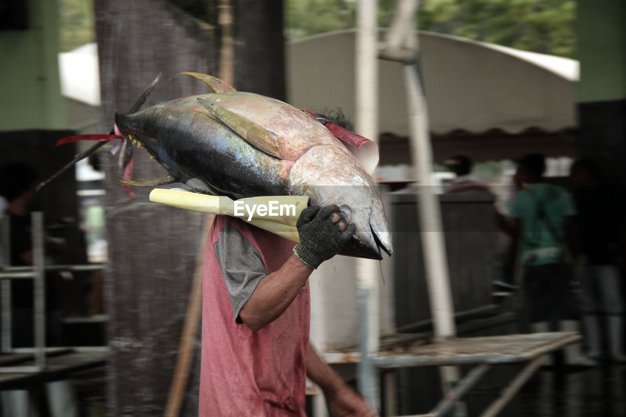 Fishworker carrying a large yellowfin tuna in the port of general santos