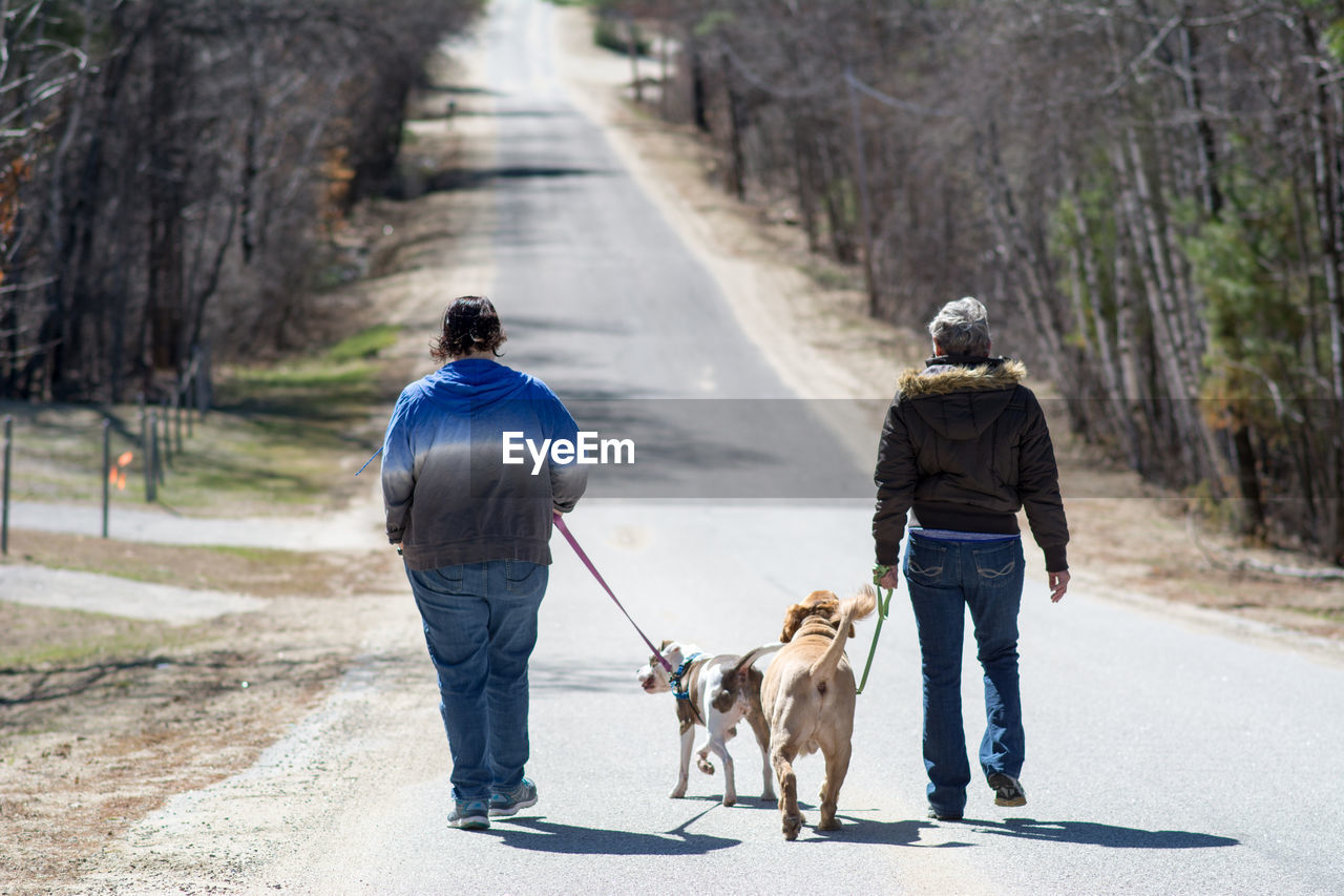 REAR VIEW OF MAN WITH DOG ON FOOTPATH