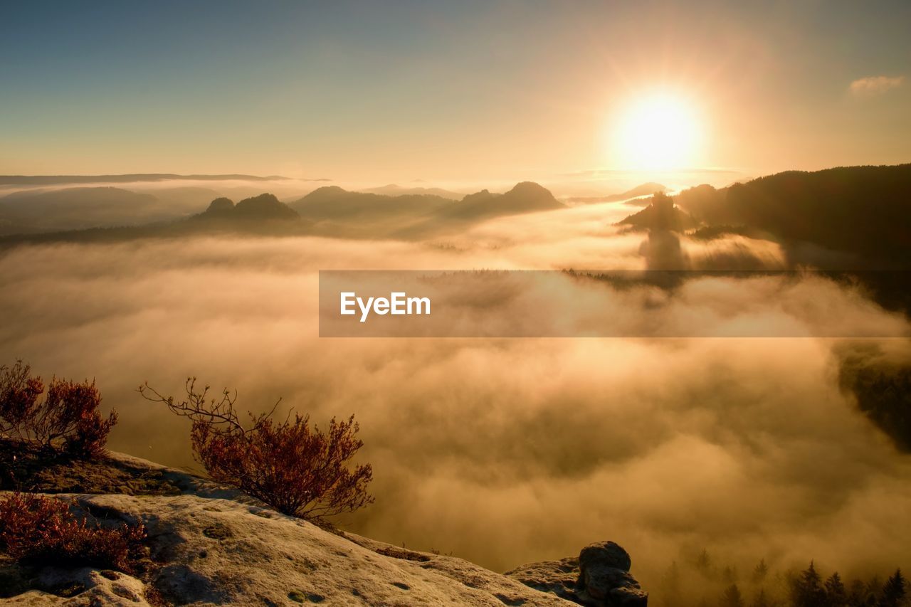 Long deep valley full of heavy colorful mist. autumn landscape within daybreak after rainy night