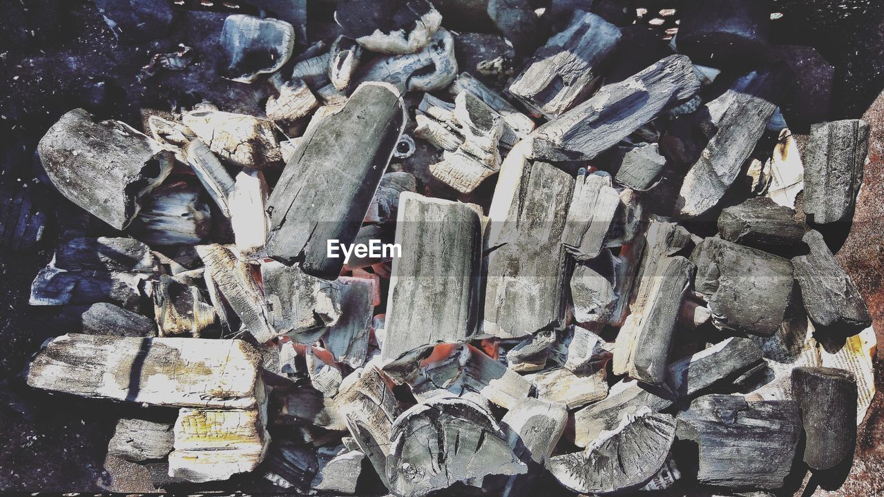 HIGH ANGLE VIEW OF LOGS ON WOODEN LOG