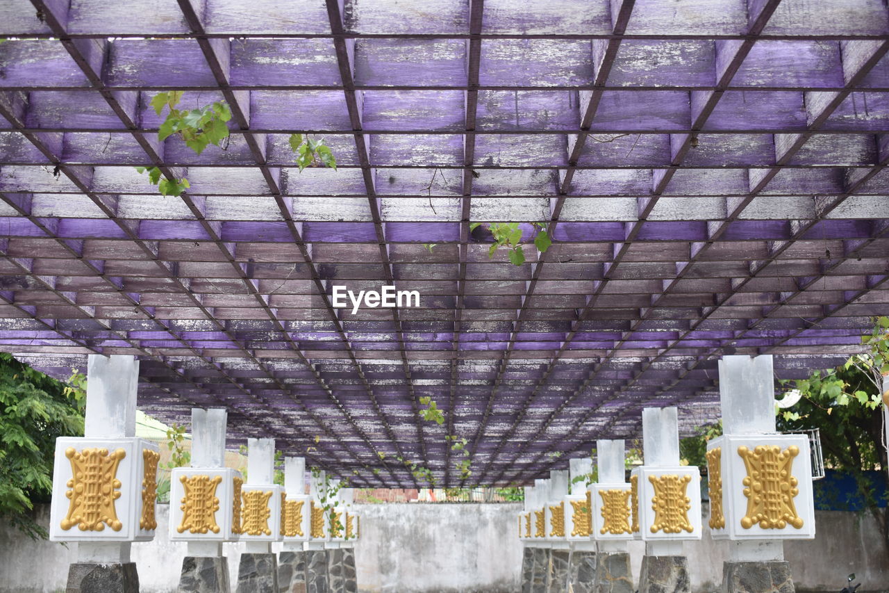architecture, built structure, indoors, no people, ceiling, plant, day, outdoor structure, roof, in a row, growth, greenhouse, nature, pattern
