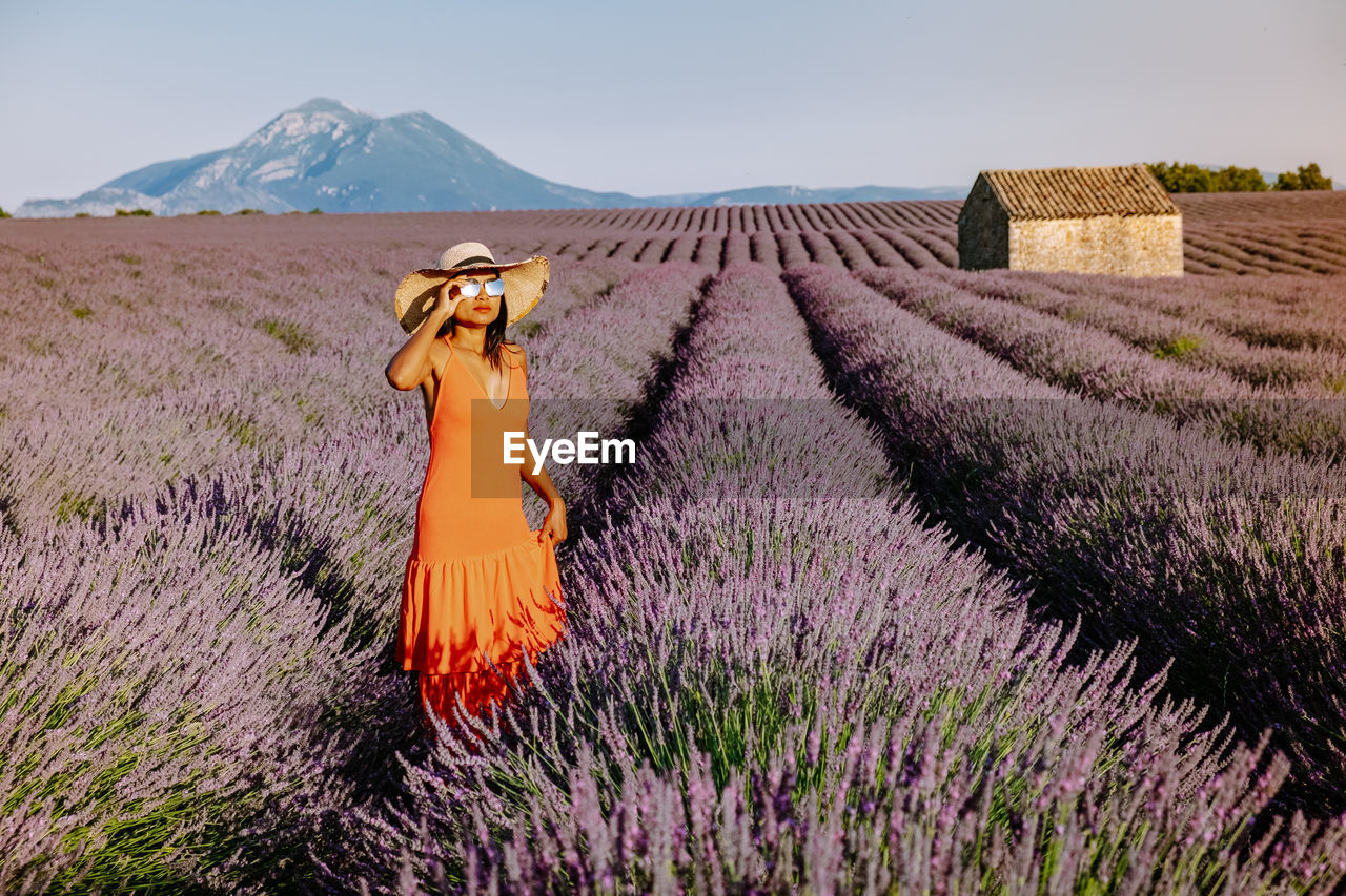 PURPLE FLOWER ON FIELD