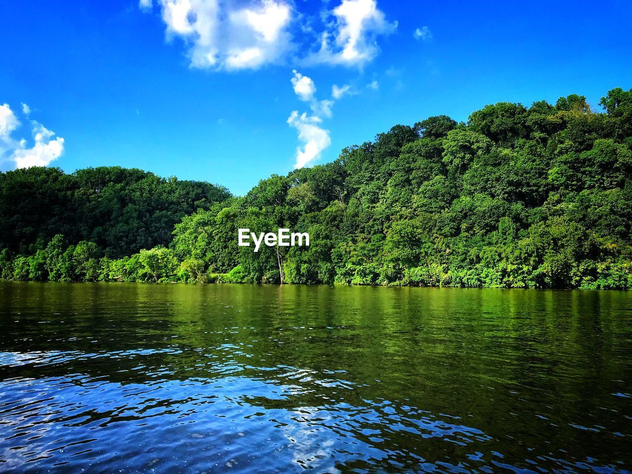 SCENIC VIEW OF LAKE BY TREES AGAINST SKY