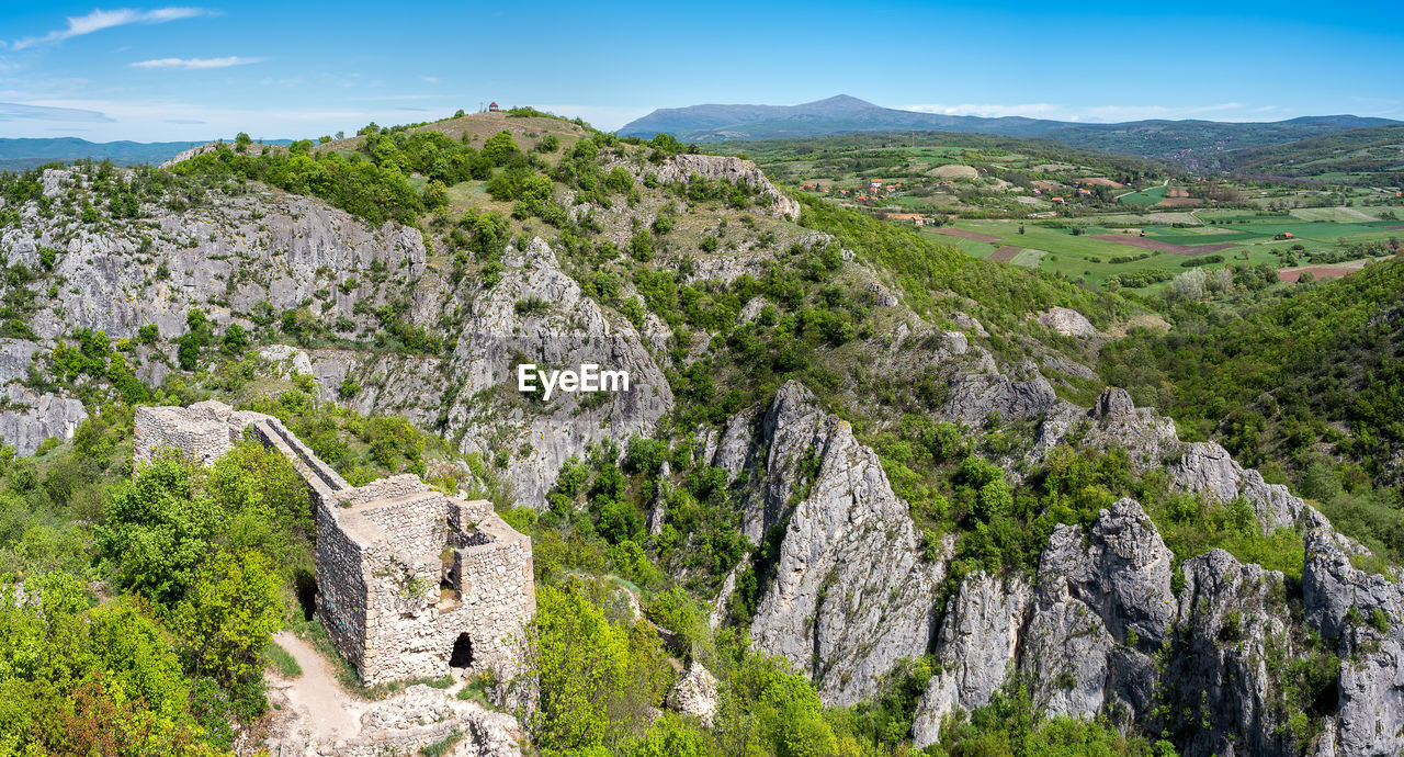 PANORAMIC SHOT OF TREES ON MOUNTAIN