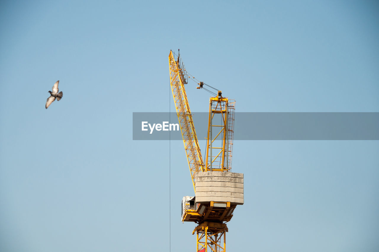 Low angle view of crane and bird against clear sky