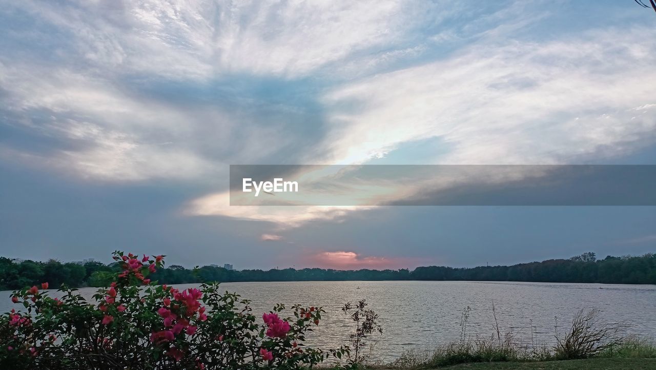 sky, cloud, nature, water, plant, beauty in nature, flower, flowering plant, environment, scenics - nature, landscape, morning, lake, horizon, tranquility, land, no people, freshness, tranquil scene, travel destinations, outdoors, travel, grass, dusk, springtime, tree, mountain, summer, red, sunlight, tourism, multi colored, blue, beach, day