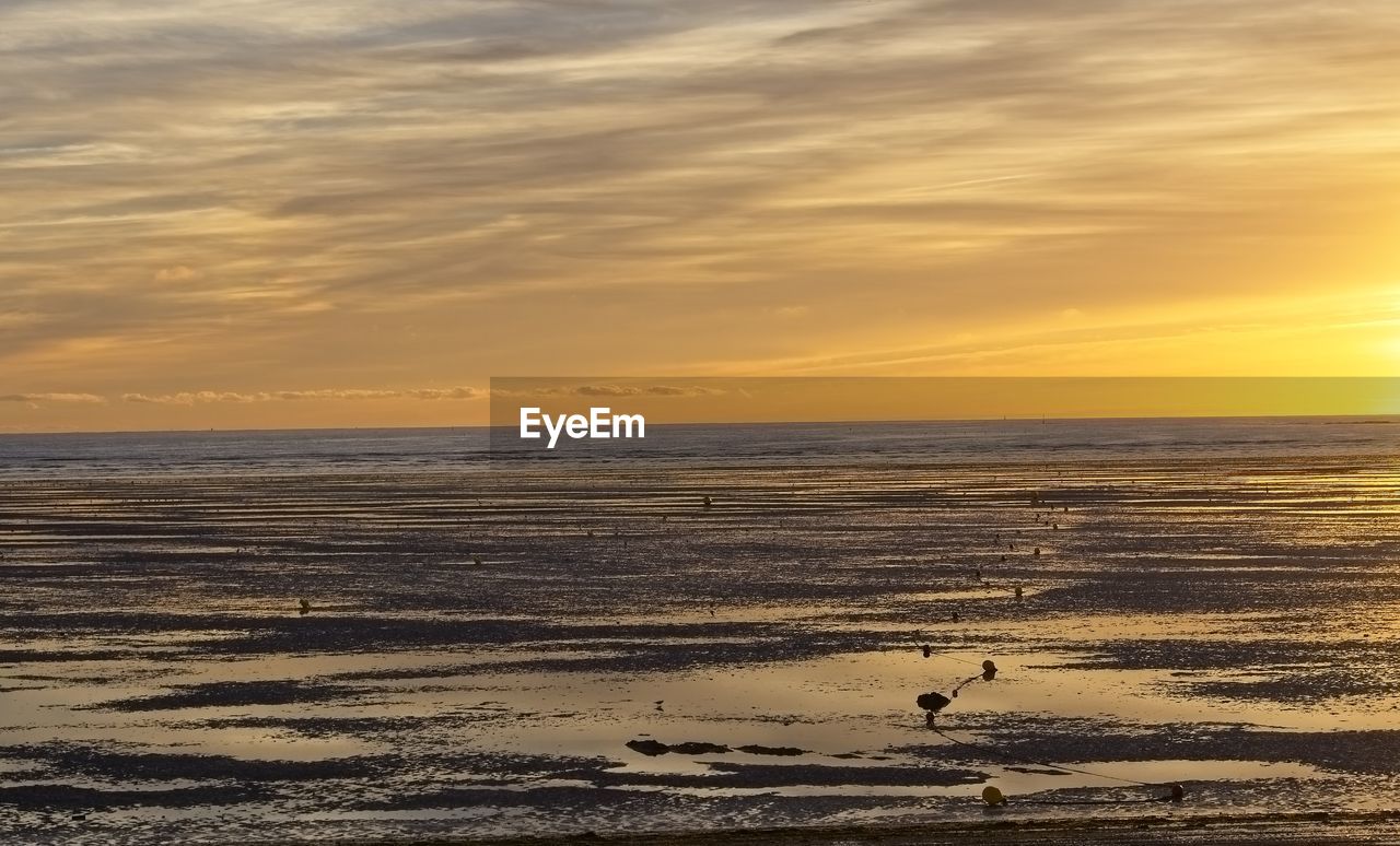 SCENIC VIEW OF BEACH DURING SUNSET