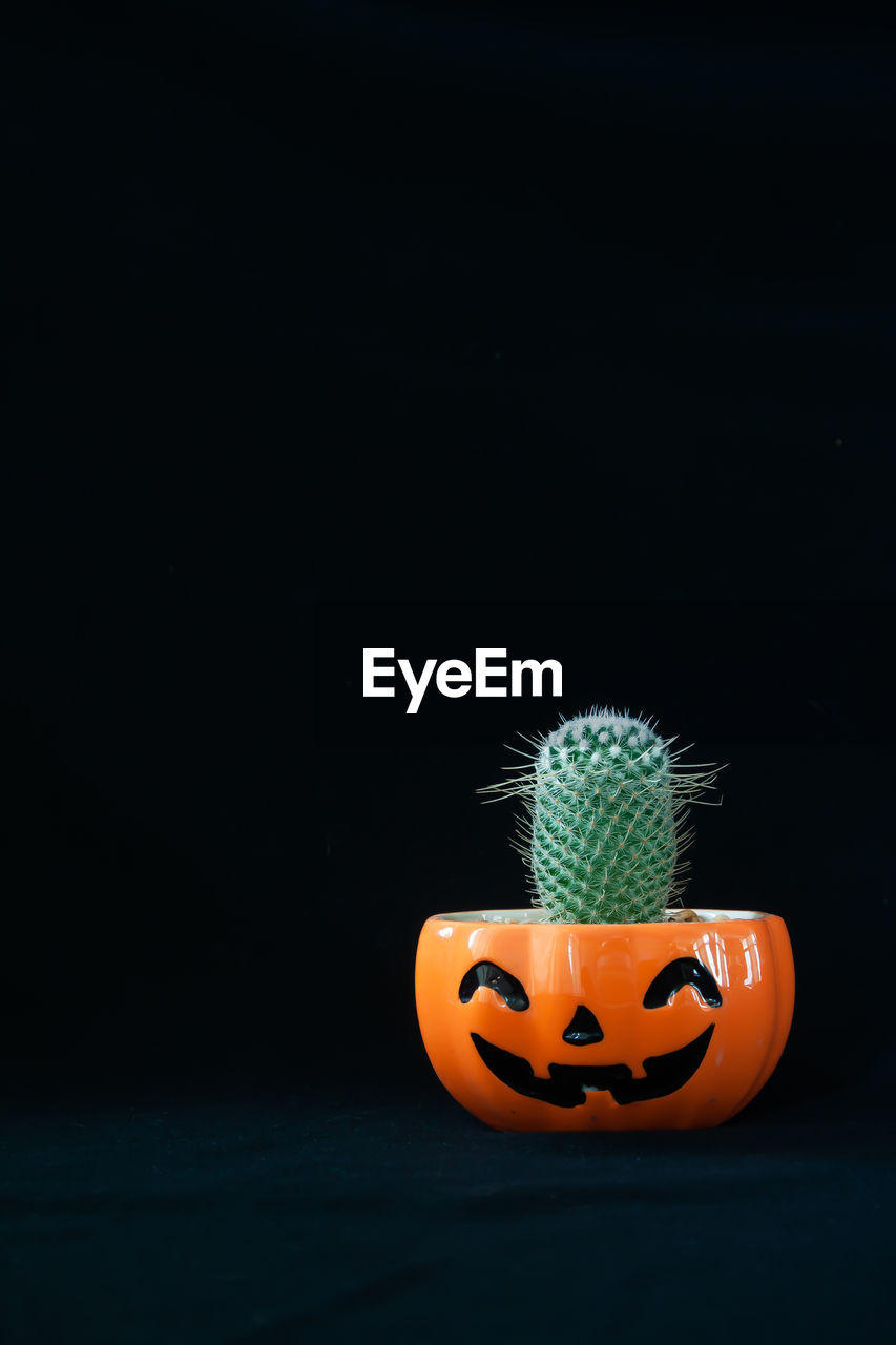 CLOSE-UP OF PUMPKIN AGAINST GRAY BACKGROUND