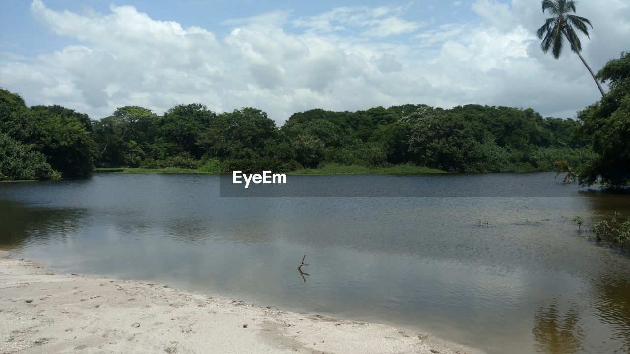 SCENIC VIEW OF LAKE