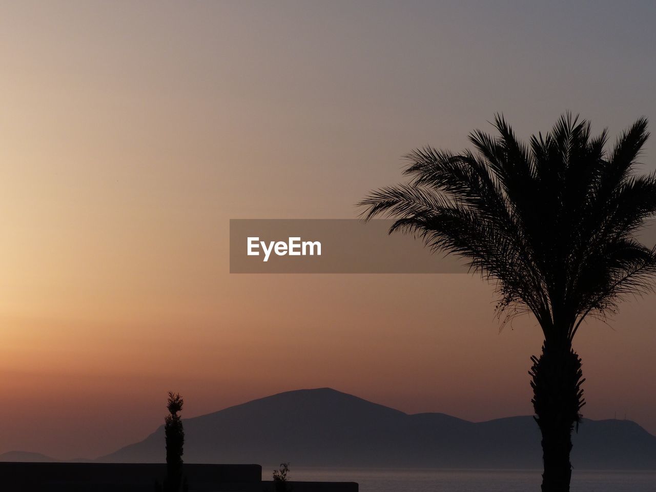 Silhouette palm tree and mountains against clear sky during sunset