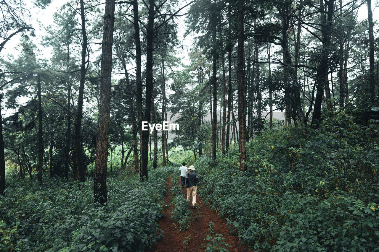 REAR VIEW OF MAN WALKING ON FOOTPATH