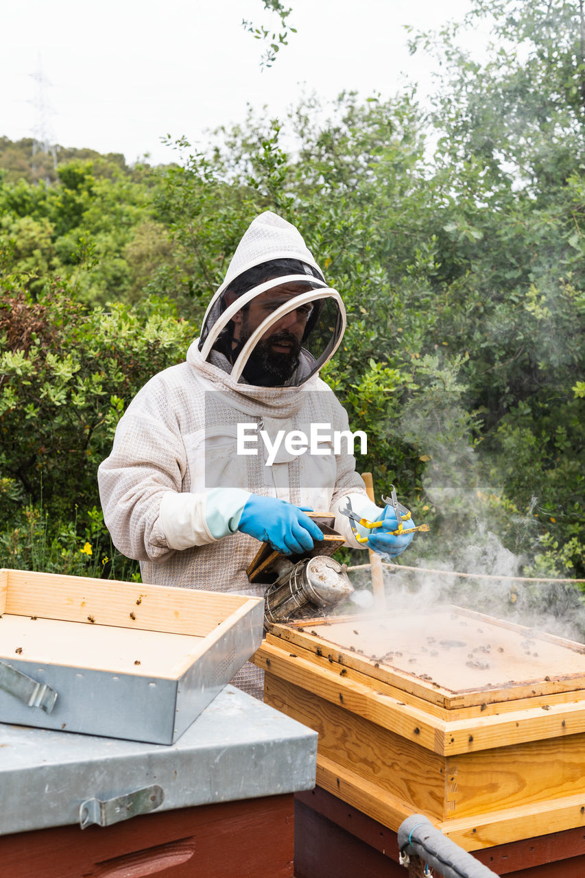 Male beekeeper in protective uniform fumigating beehive with bee smoker while working in apiary